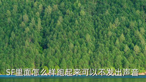 SF里面怎么样跑起来可以不发出声音