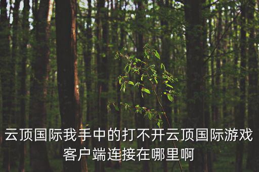 云顶国际我手中的打不开云顶国际游戏客户端连接在哪里啊