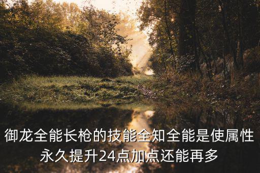 御龙全能长枪的技能全知全能是使属性永久提升24点加点还能再多