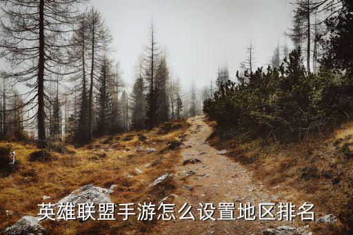 英雄联盟手游怎么设置地区排名
