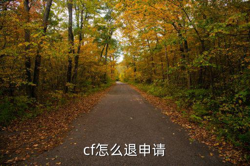 手游cf未成年怎么退款，cf怎么退申请