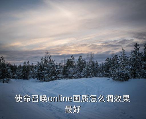 使命召唤online画质怎么调效果最好