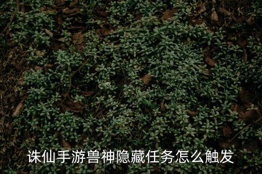 诛仙手游萌宝隐藏任务怎么触发，诛仙手游里的隐藏任务怎么碰到智