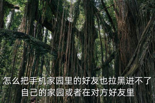 怎么把手机家园里的好友也拉黑进不了自己的家园或者在对方好友里