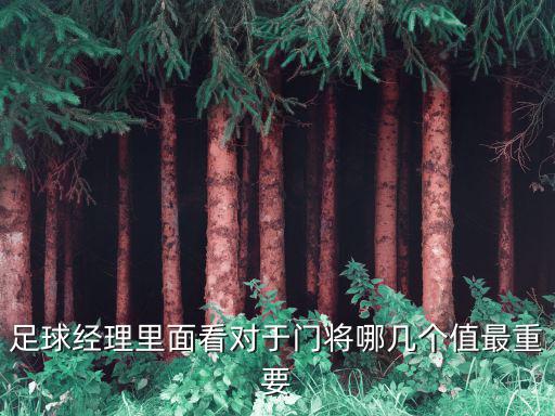 足球经理手游能力值怎么看，如何查看球员各项能力的具体数值