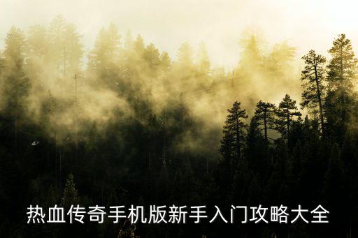 热血传奇手机版新手入门攻略大全