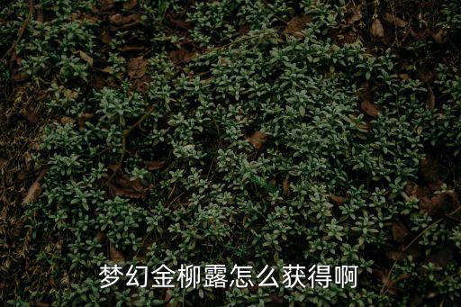 梦幻手游挖高级宝图怎么得金柳露，梦幻西游手游金柳露怎么大量获得