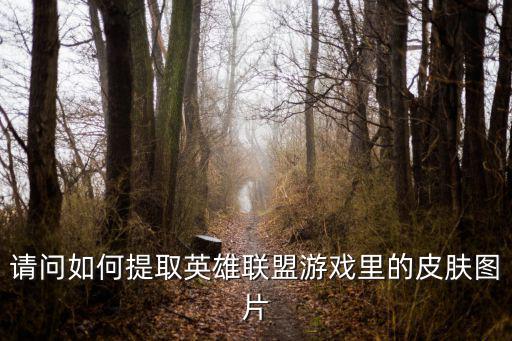 请问如何提取英雄联盟游戏里的皮肤图片