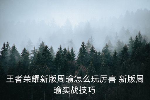 王者荣耀新版周瑜怎么玩厉害 新版周瑜实战技巧