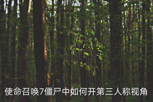 使命召唤7僵尸中如何开第三人称视角