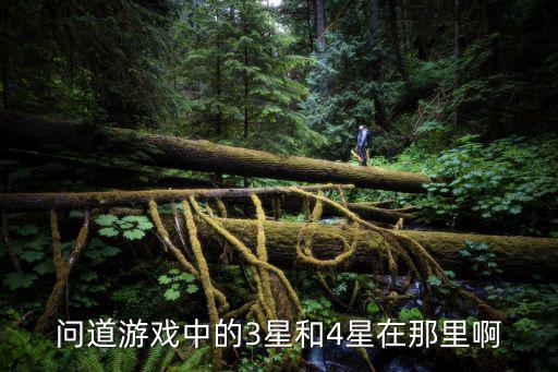 问道手游四星装备怎么得，4星防具怎么获得啊