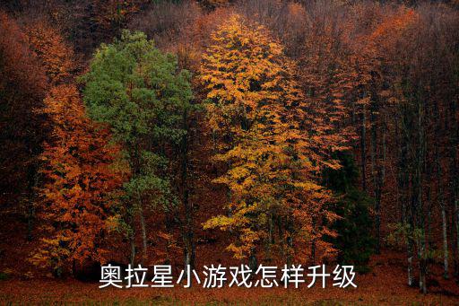 奥拉星小游戏怎样升级