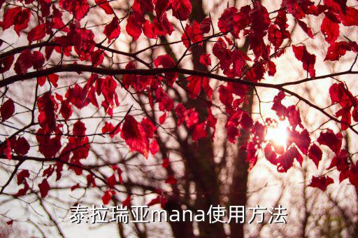 泰拉瑞亚mana使用方法