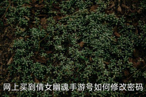 倩女幽魂手游怎么弄密码锁，新倩女幽魂怎样设置物品锁和密码锁
