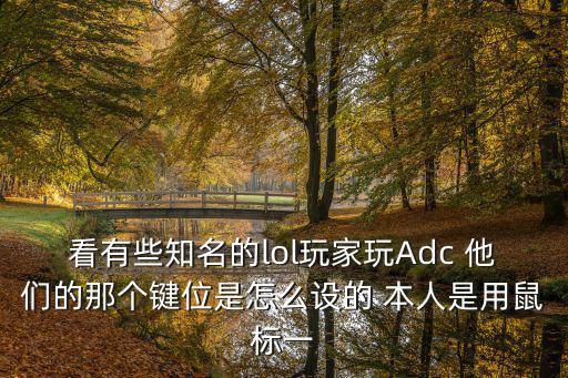 看有些知名的lol玩家玩Adc 他们的那个键位是怎么设的 本人是用鼠标一