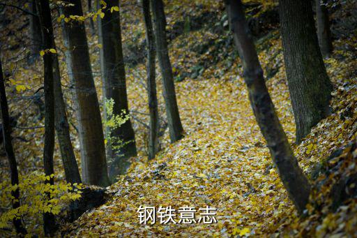 钢铁意志