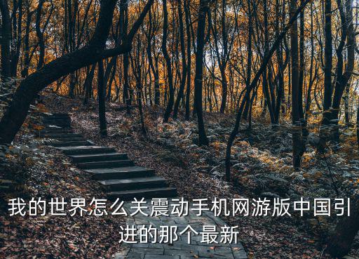 我的世界怎么关震动手机网游版中国引进的那个最新