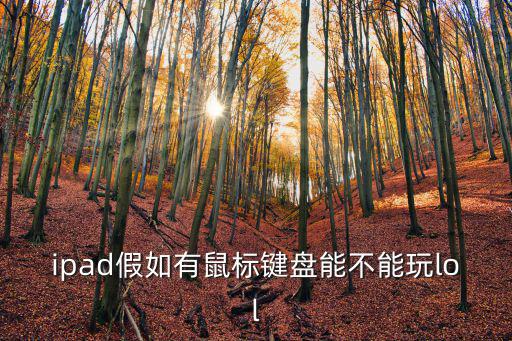 怎么用平板键盘鼠标玩lol手游，平板电脑连上键盘和鼠标能玩网络游戏吗