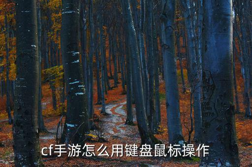 cf手游打字怎么调键位，CFM CF手游 键位设置