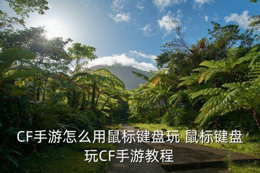 CF手游怎么用鼠标键盘玩 鼠标键盘玩CF手游教程