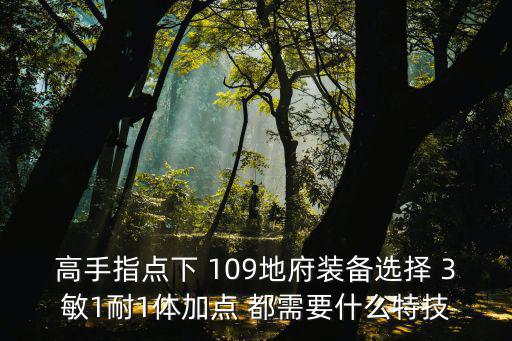 高手指点下 109地府装备选择 3敏1耐1体加点 都需要什么特技