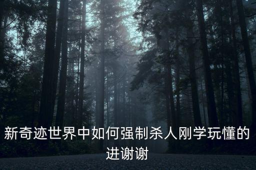 新奇迹世界中如何强制杀人刚学玩懂的进谢谢