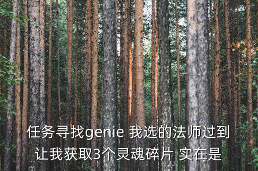 任务寻找genie 我选的法师过到让我获取3个灵魂碎片 实在是