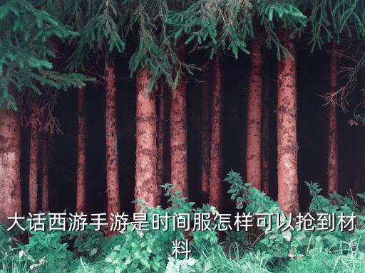大话西游手游是时间服怎样可以抢到材料
