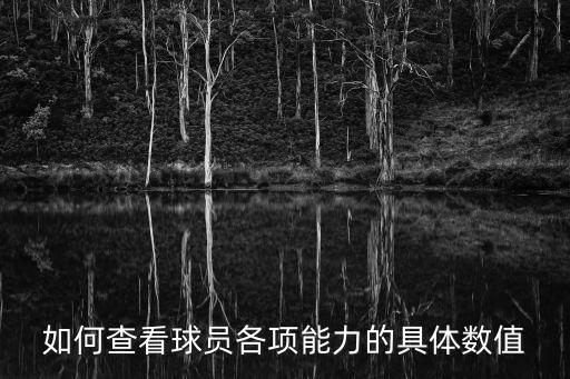 如何查看球员各项能力的具体数值