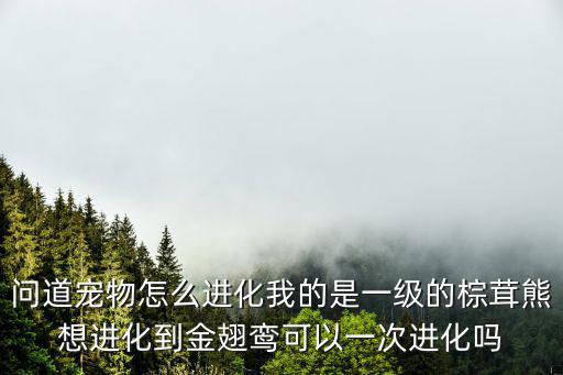问道宠物怎么进化我的是一级的棕茸熊想进化到金翅鸾可以一次进化吗
