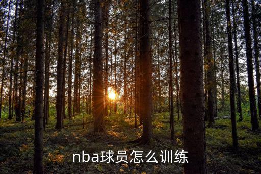 手游nba2020怎么训练，NBA2k20手机版王朝模式怎么训练球员能让他变强