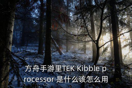 方舟手游三角龙骨怎么用，方舟手游里TEK Kibble processor 是什么该怎么用