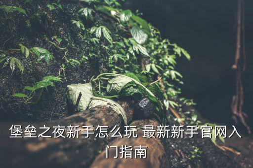 堡垒之夜新手怎么玩 最新新手官网入门指南