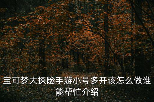 宝可梦大探险手游小号多开该怎么做谁能帮忙介绍