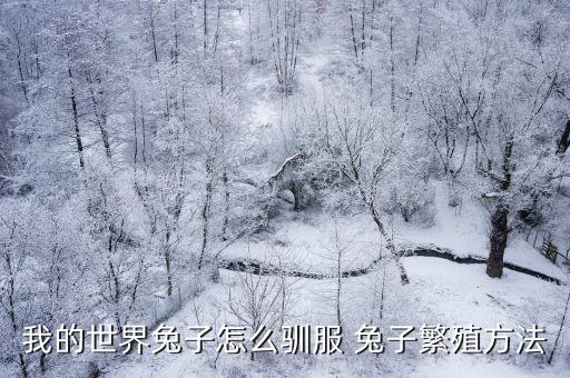 我的世界手游怎么驯服兔子，我的世界兔子怎么驯服 兔子繁殖方法