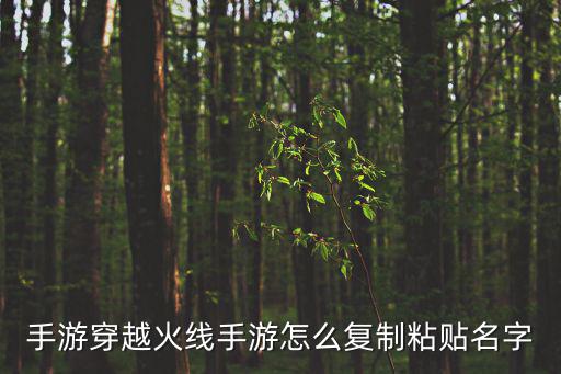 cf手游操作键怎么复制，手游穿越火线手游怎么复制粘贴名字