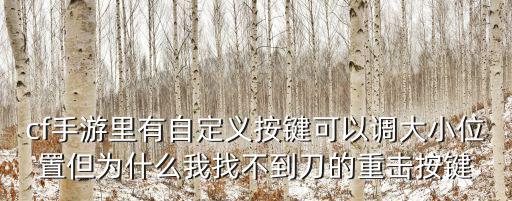 cf手游里有自定义按键可以调大小位置但为什么我找不到刀的重击按键