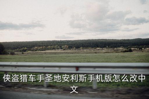 侠盗猎车手圣地安利斯手机版怎么改中文