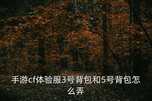 手游cf体验服3号背包和5号背包怎么弄