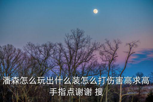 潘森怎么玩出什么装怎么打伤害高求高手指点谢谢 搜