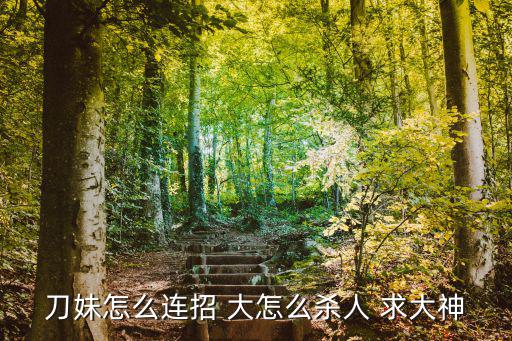 刀妹怎么连招 大怎么杀人 求大神