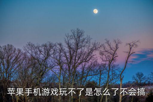 苹果手机游戏玩不了是怎么了不会搞