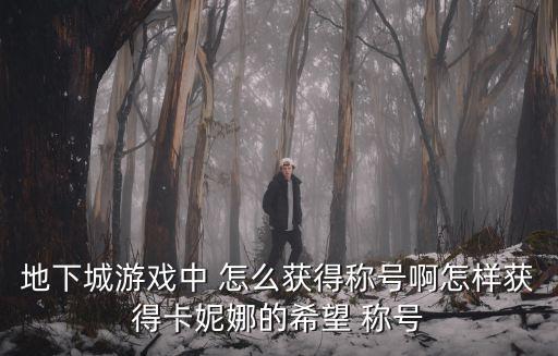 dnf手游韩服怎么获得称号，韩服斗神称号是如何获得的