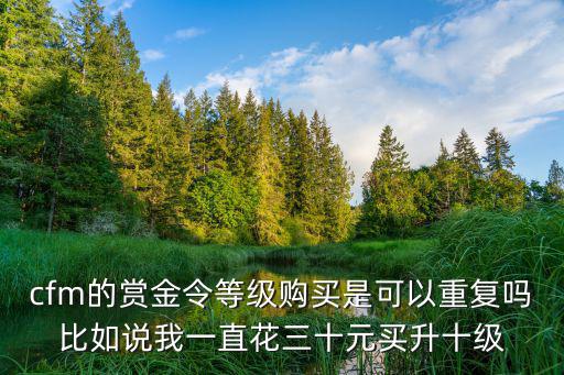 cfm的赏金令等级购买是可以重复吗比如说我一直花三十元买升十级