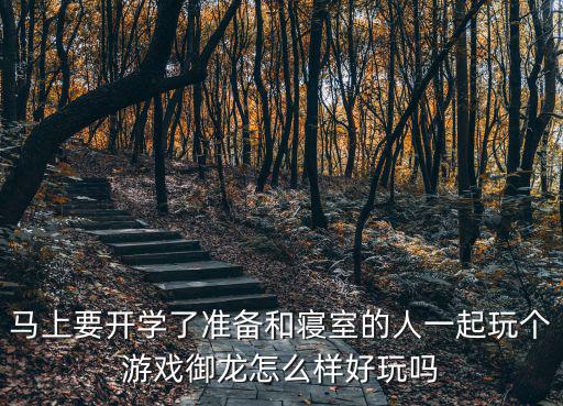 马上要开学了准备和寝室的人一起玩个游戏御龙怎么样好玩吗
