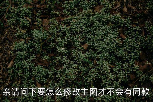 亲请问下要怎么修改主图才不会有同款