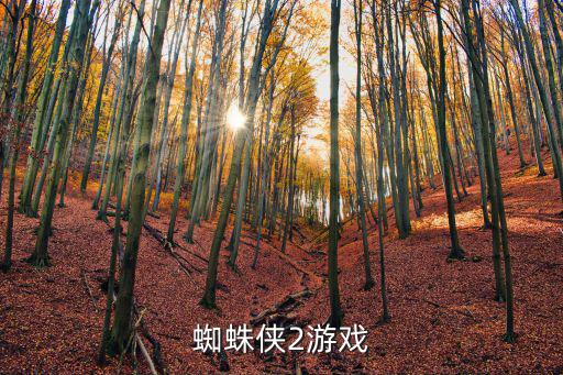 蜘蛛侠2游戏