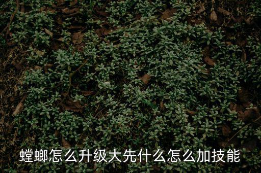 螳螂怎么升级大先什么怎么加技能