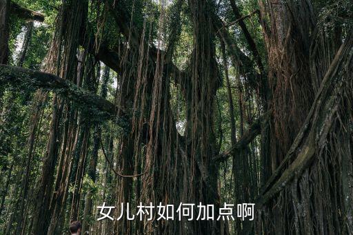 女儿村如何加点啊