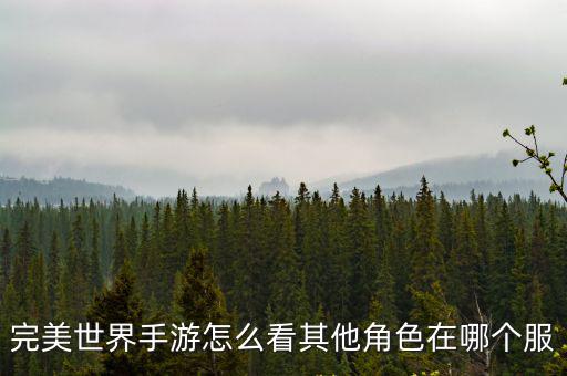 完美世界手游怎么看其他角色在哪个服